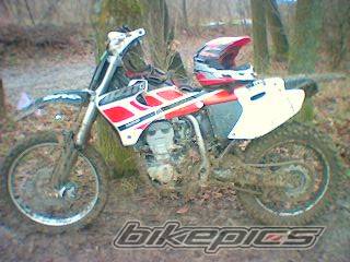 Photo 272375