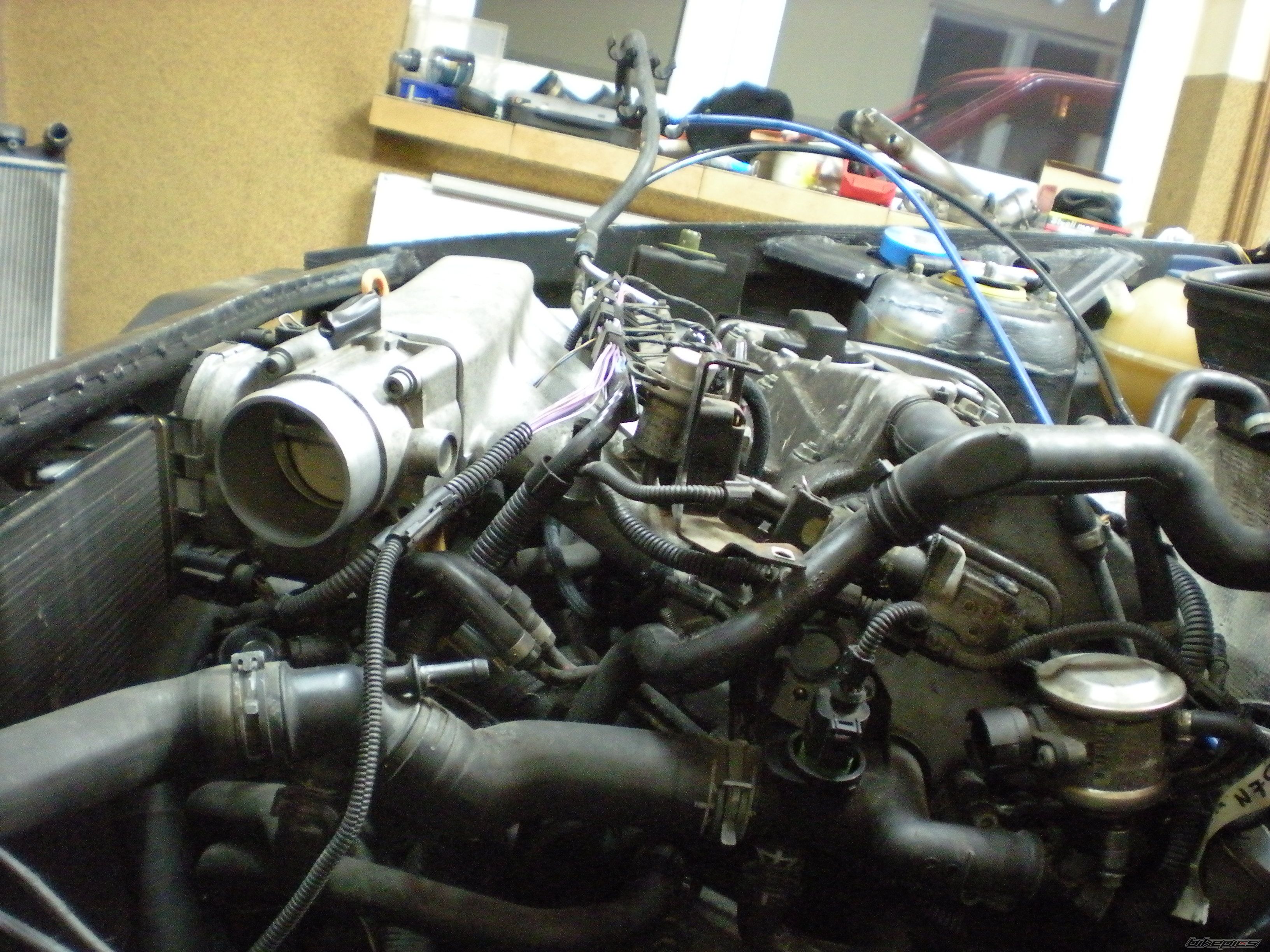 Photo 2723894
