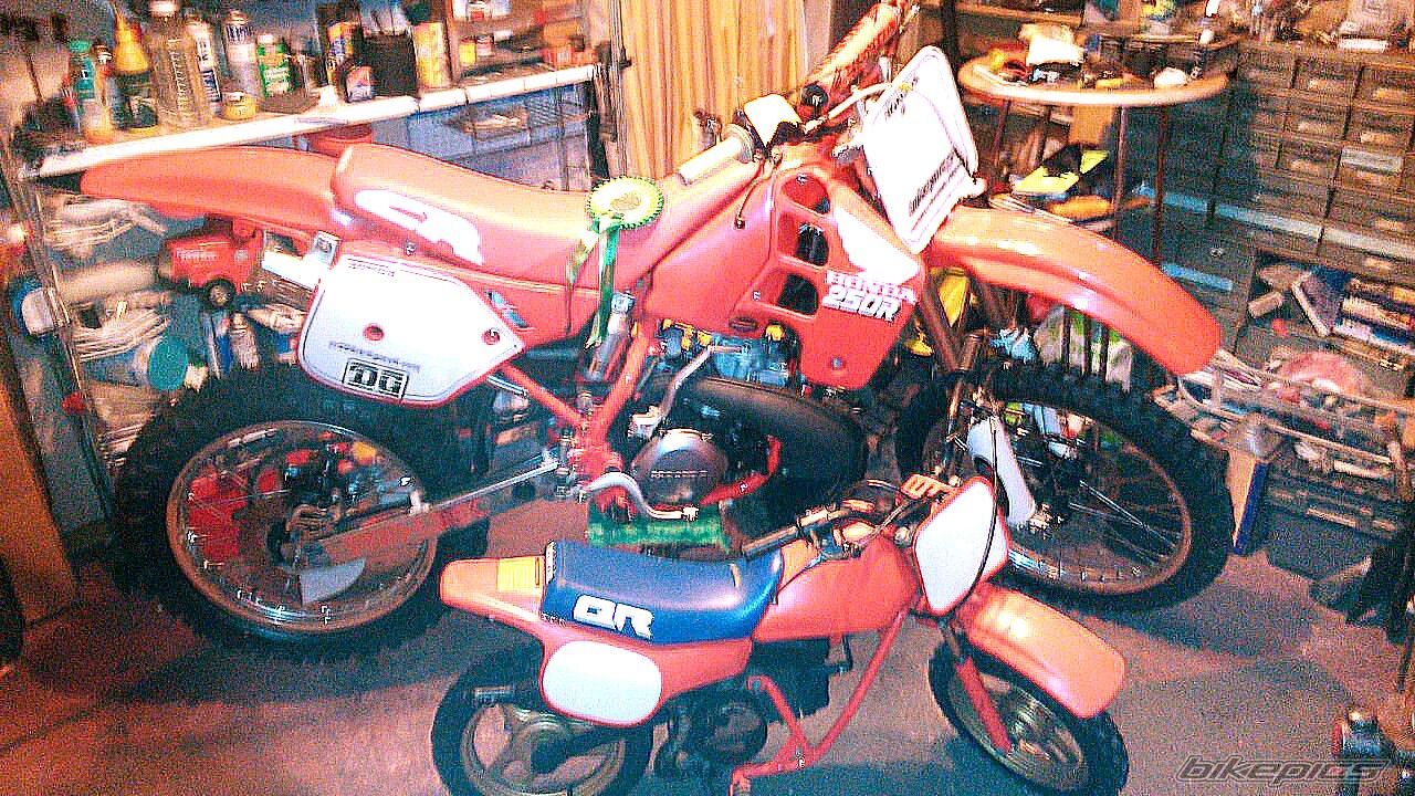 Photo 2723981