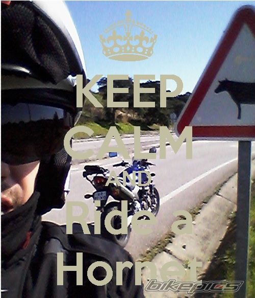 Bike Photo 2724018