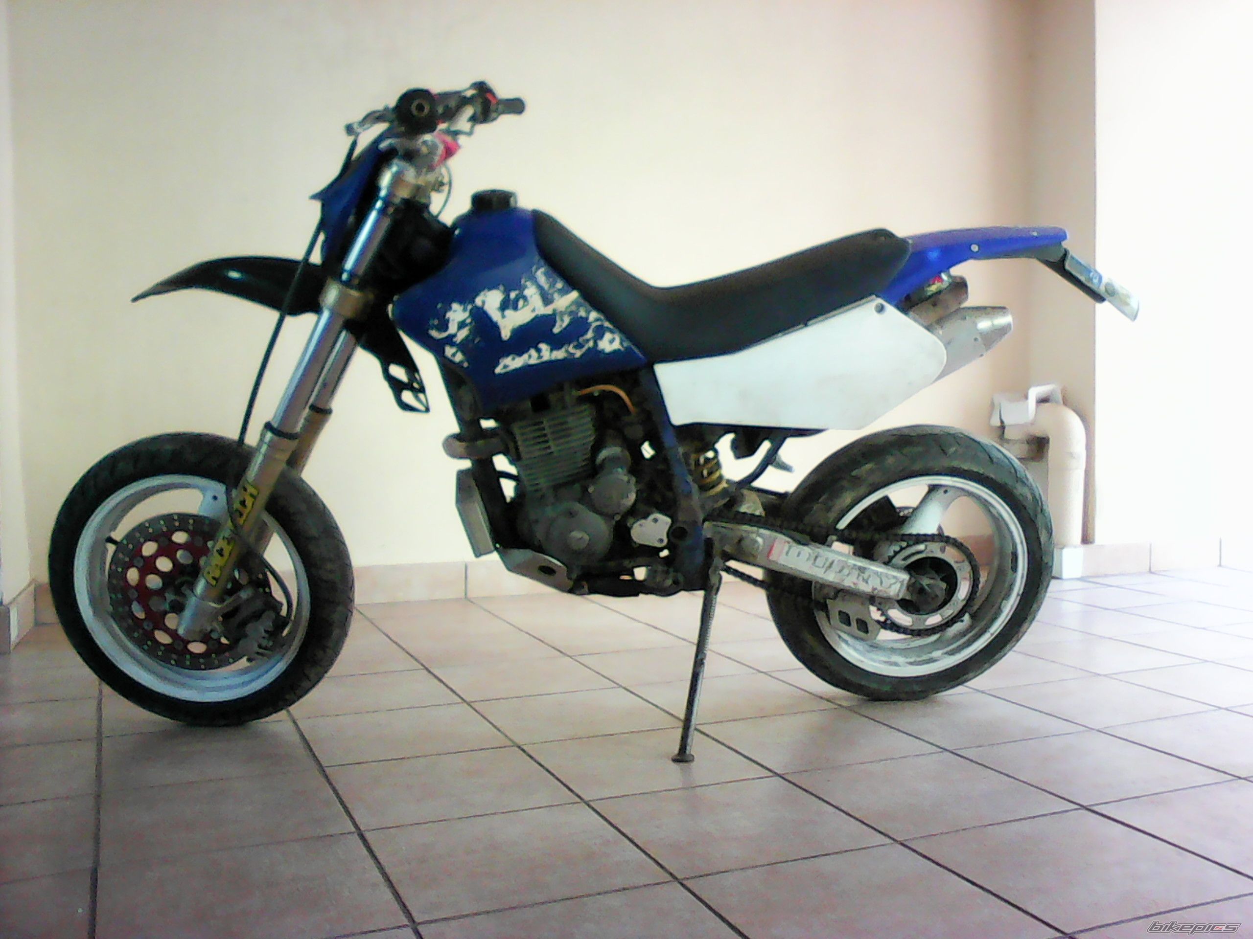 Photo 2724055