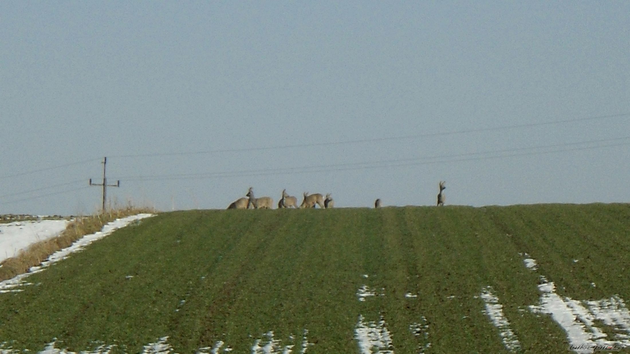 Photo 2724192