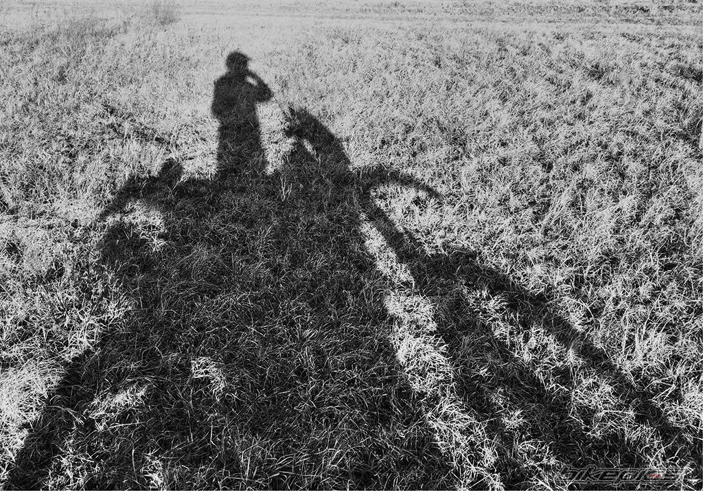 Photo 2724274