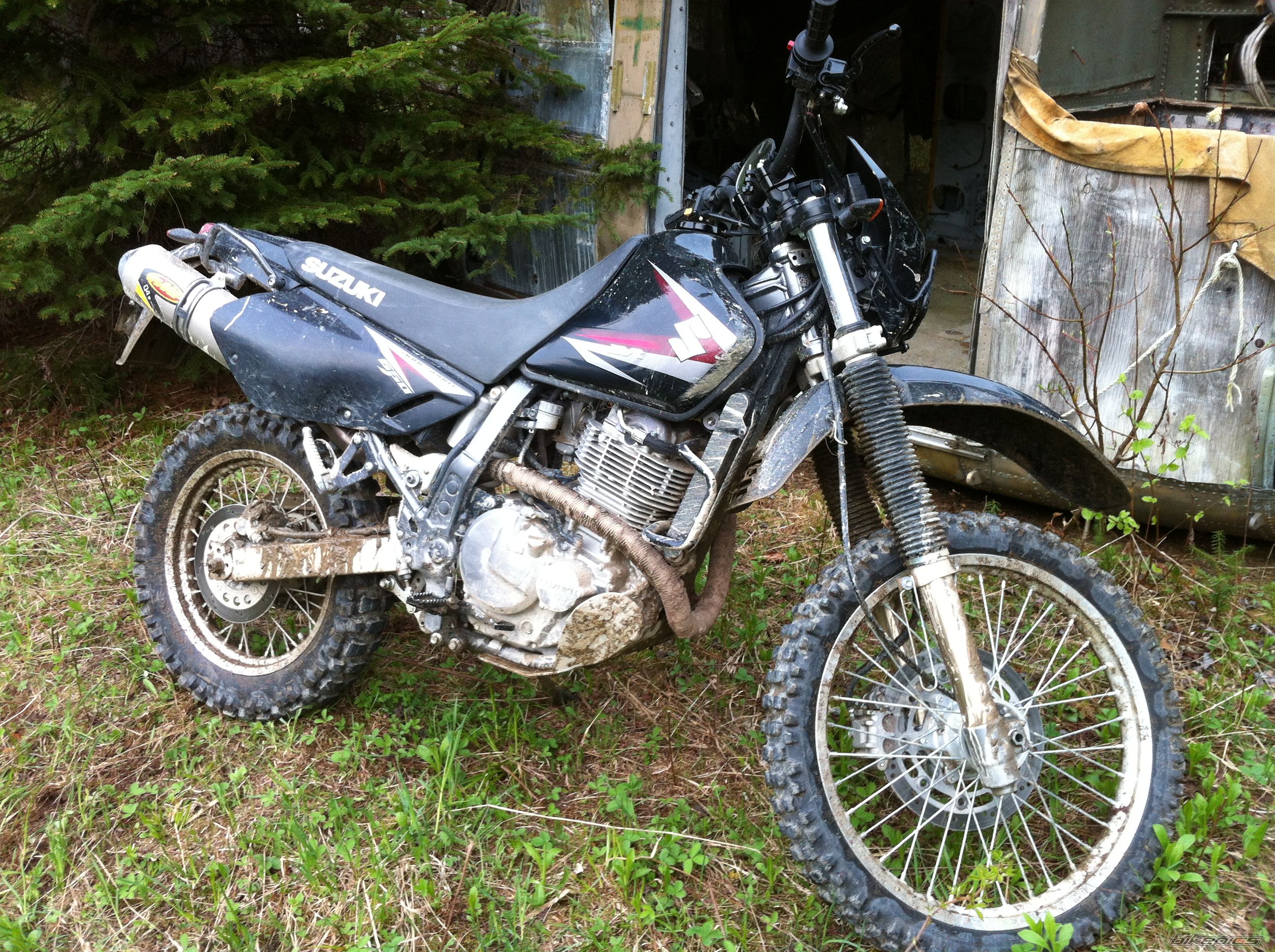 Photo 2724439