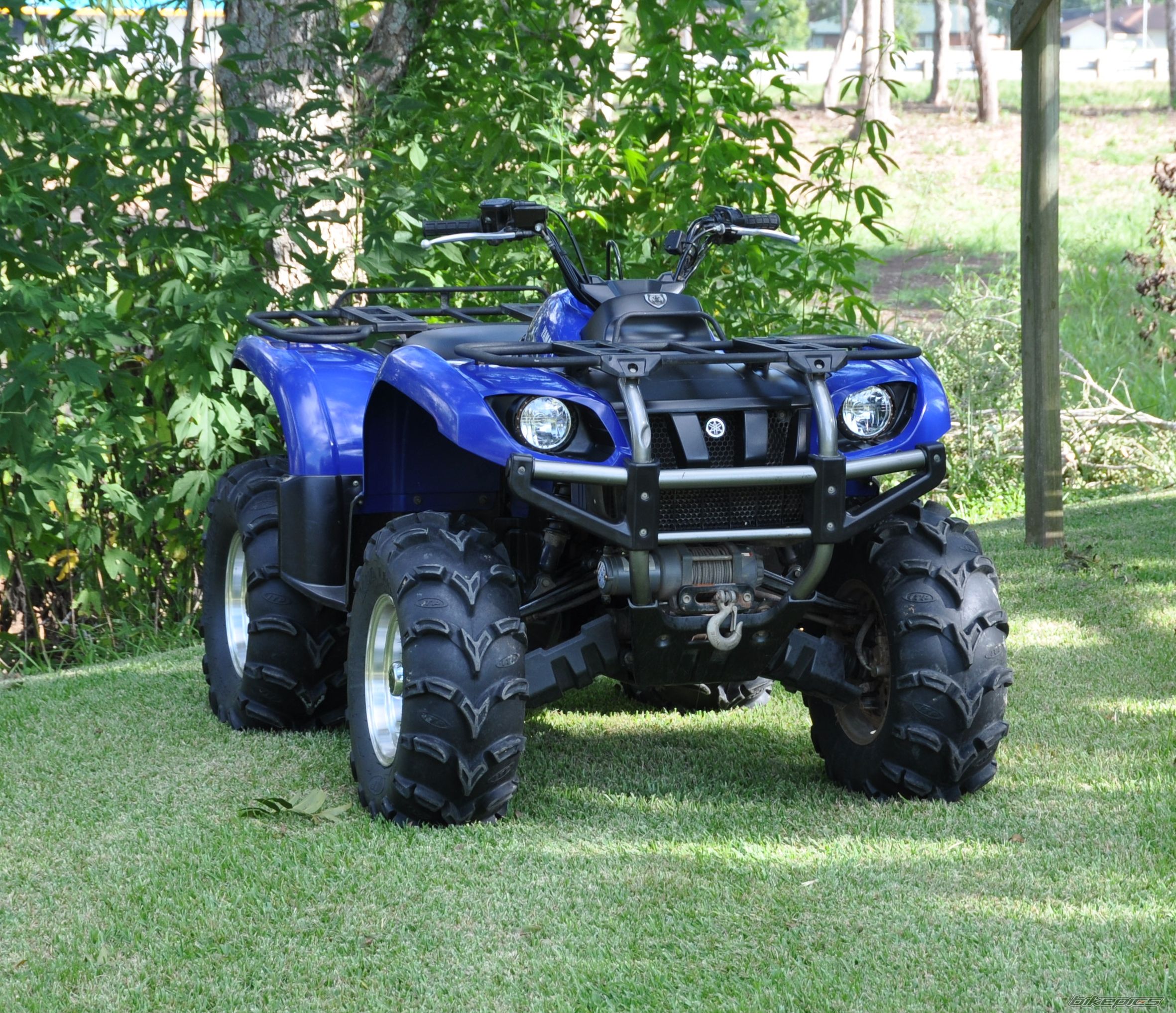 Grizzly 600