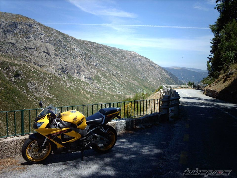 Photo 2724895