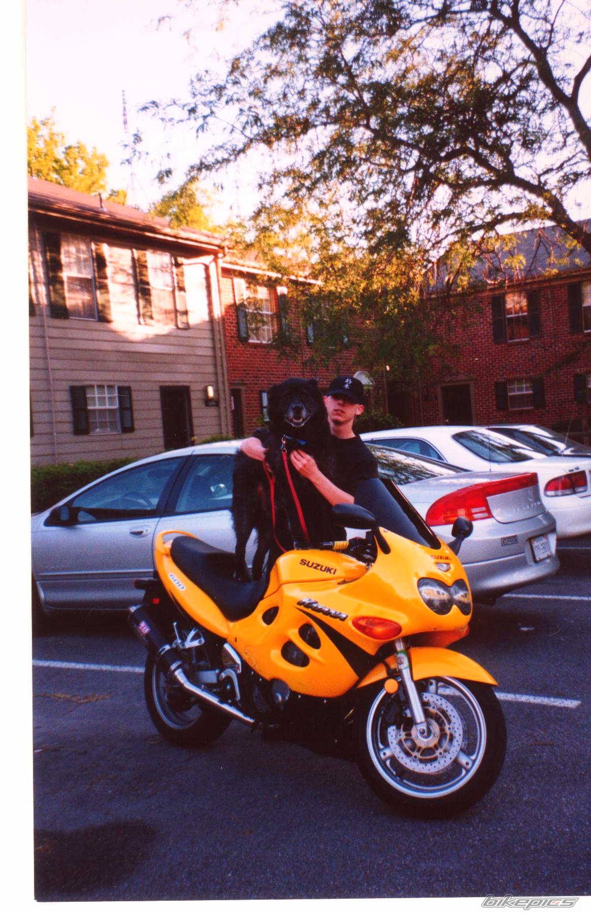 Photo 27249