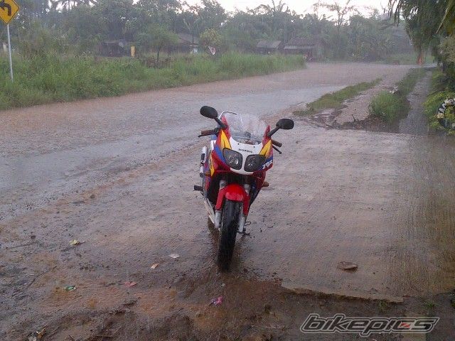 Photo 2724932