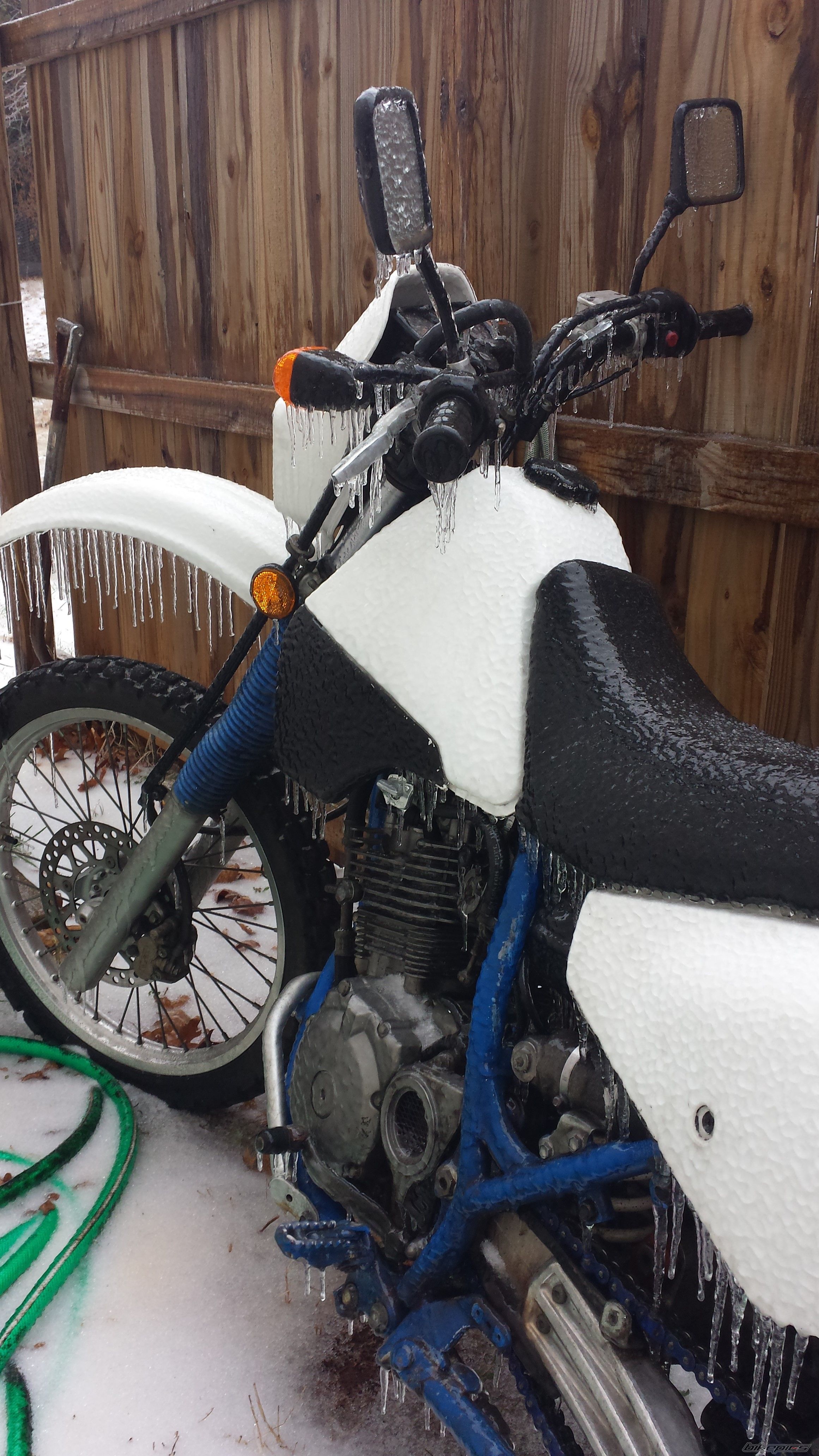 Photo 2724989