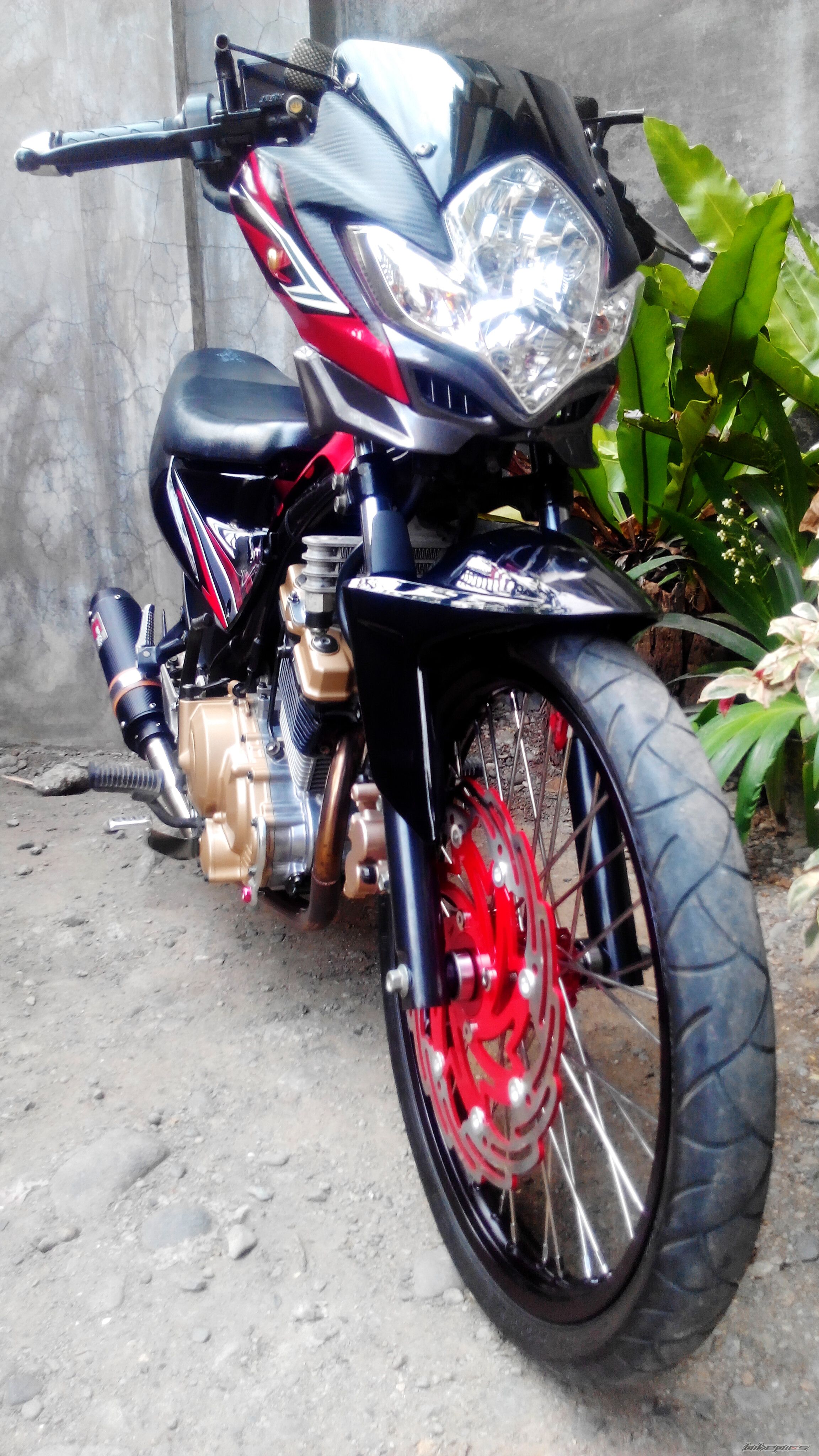Photo 2725148