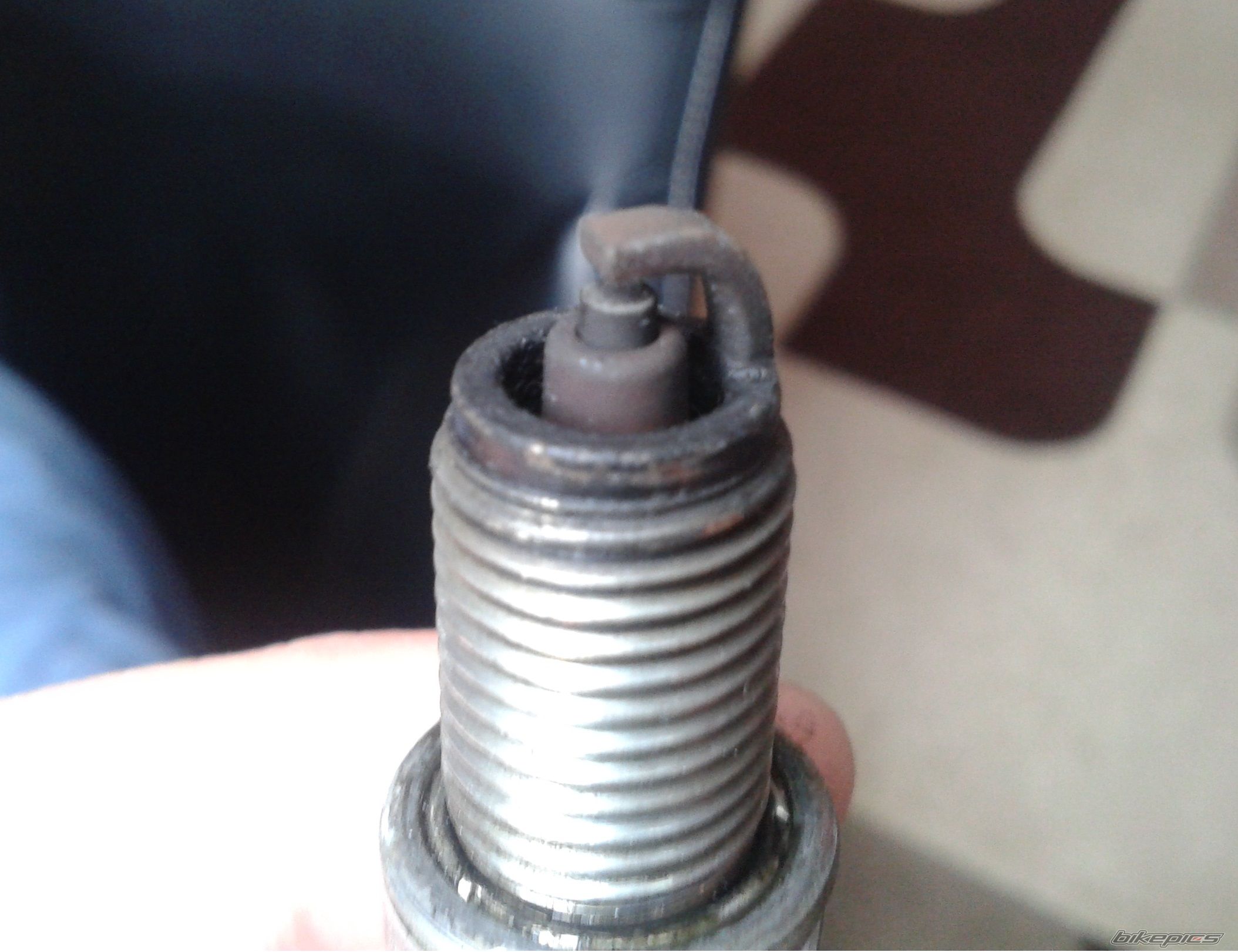 Photo 2725260