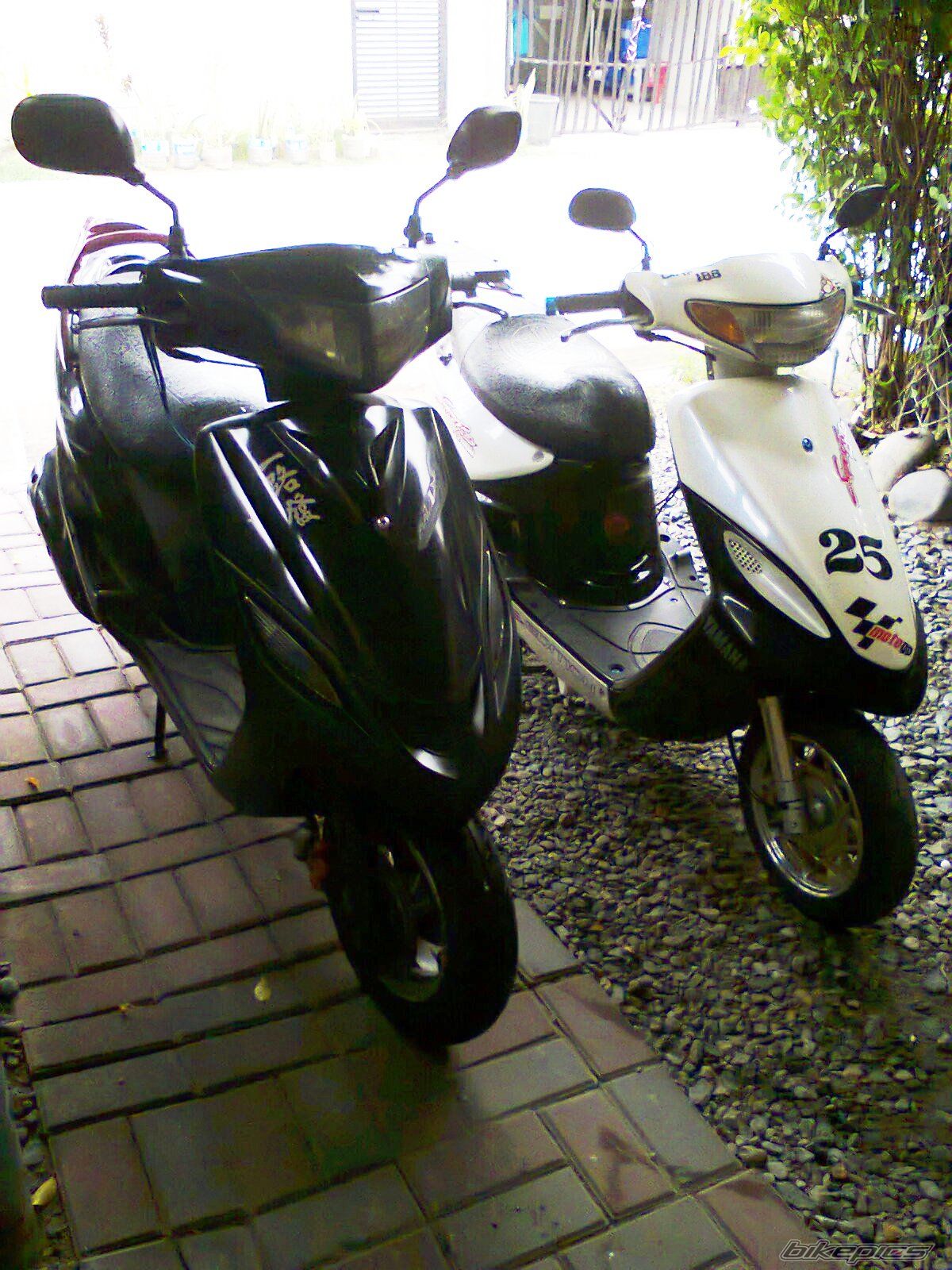 Photo 2725336