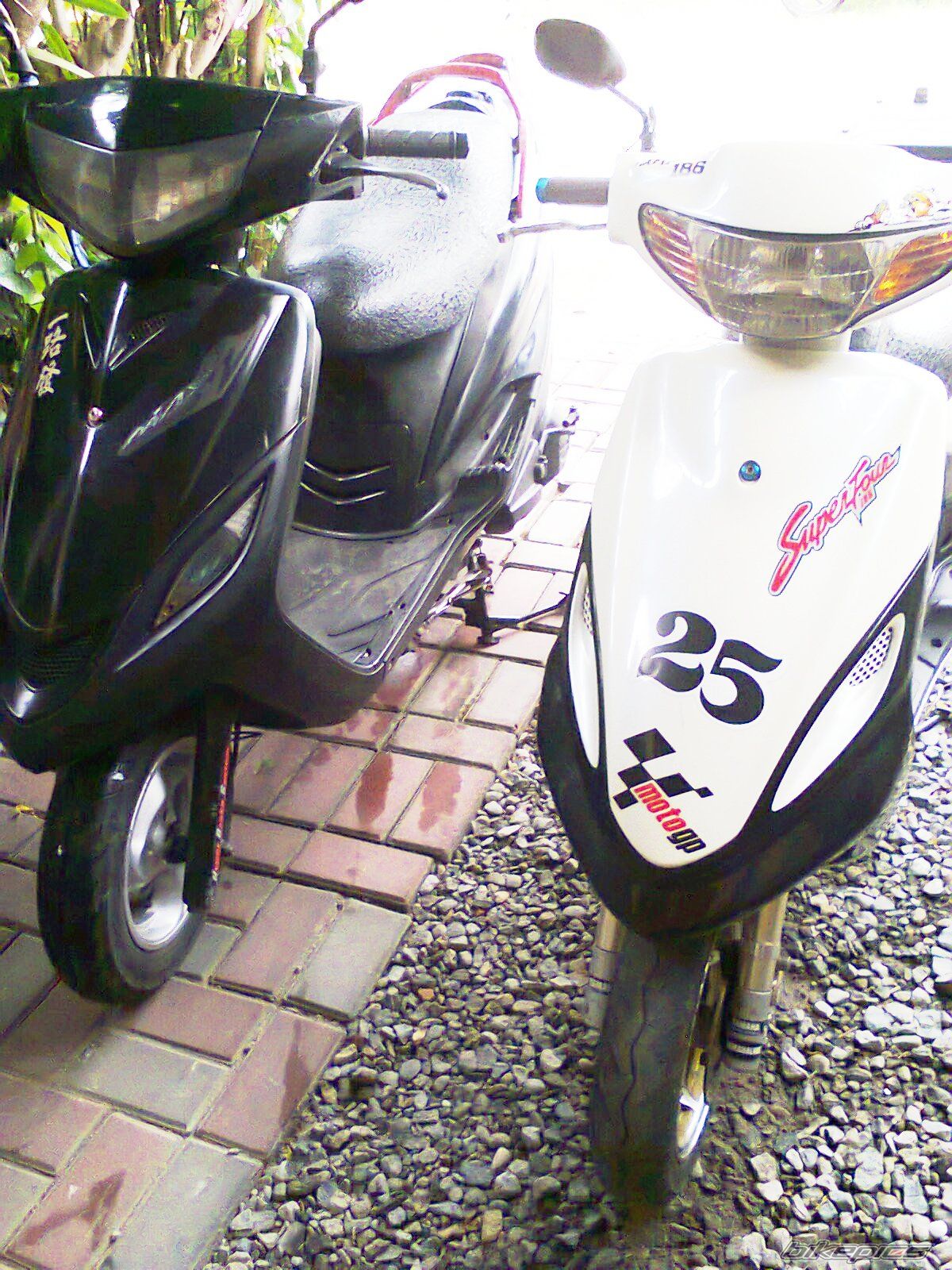 Photo 2725338