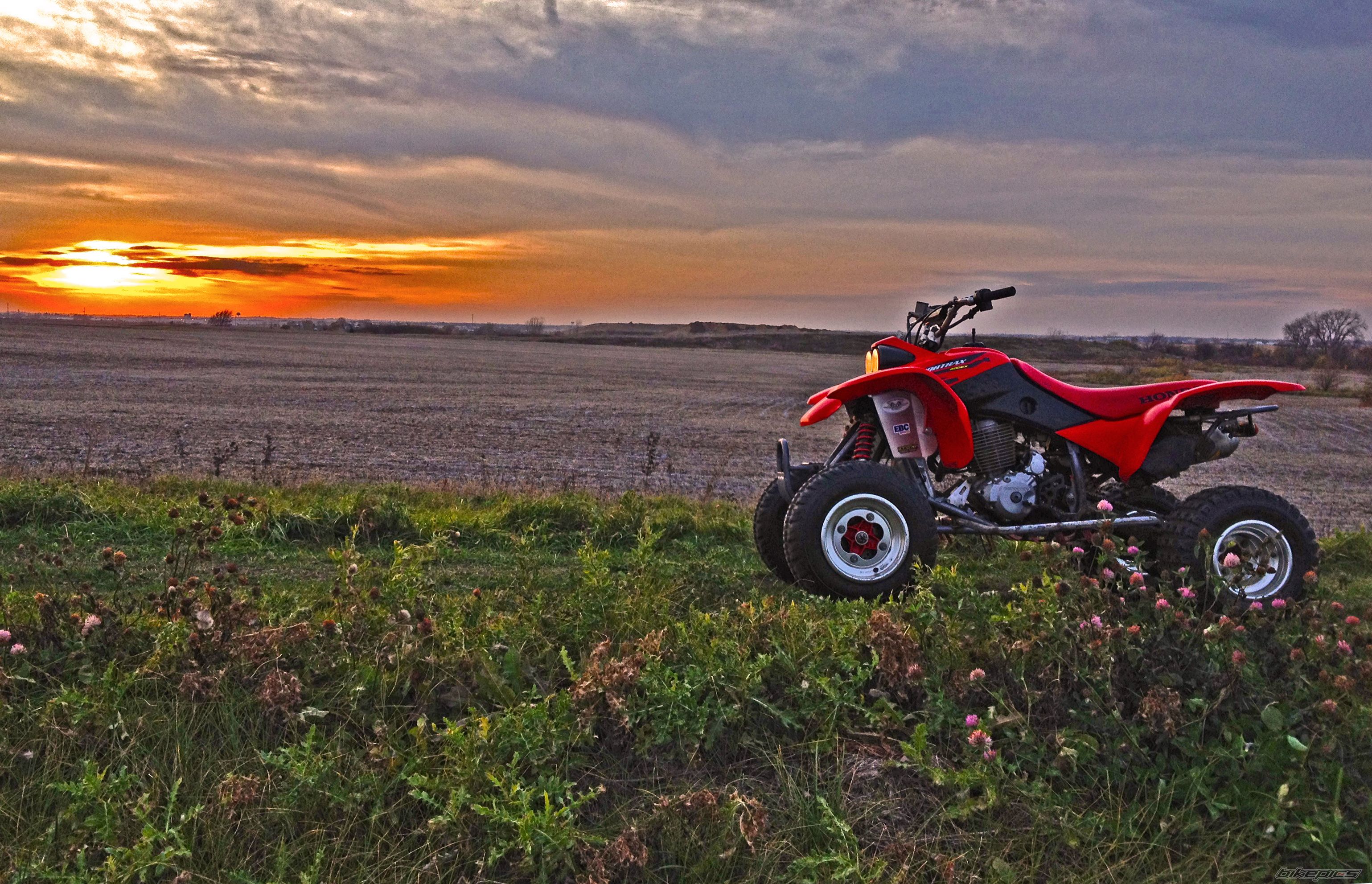 Photo 2725342