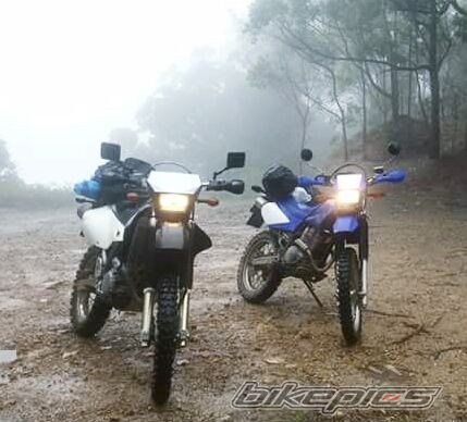 Photo 2725372