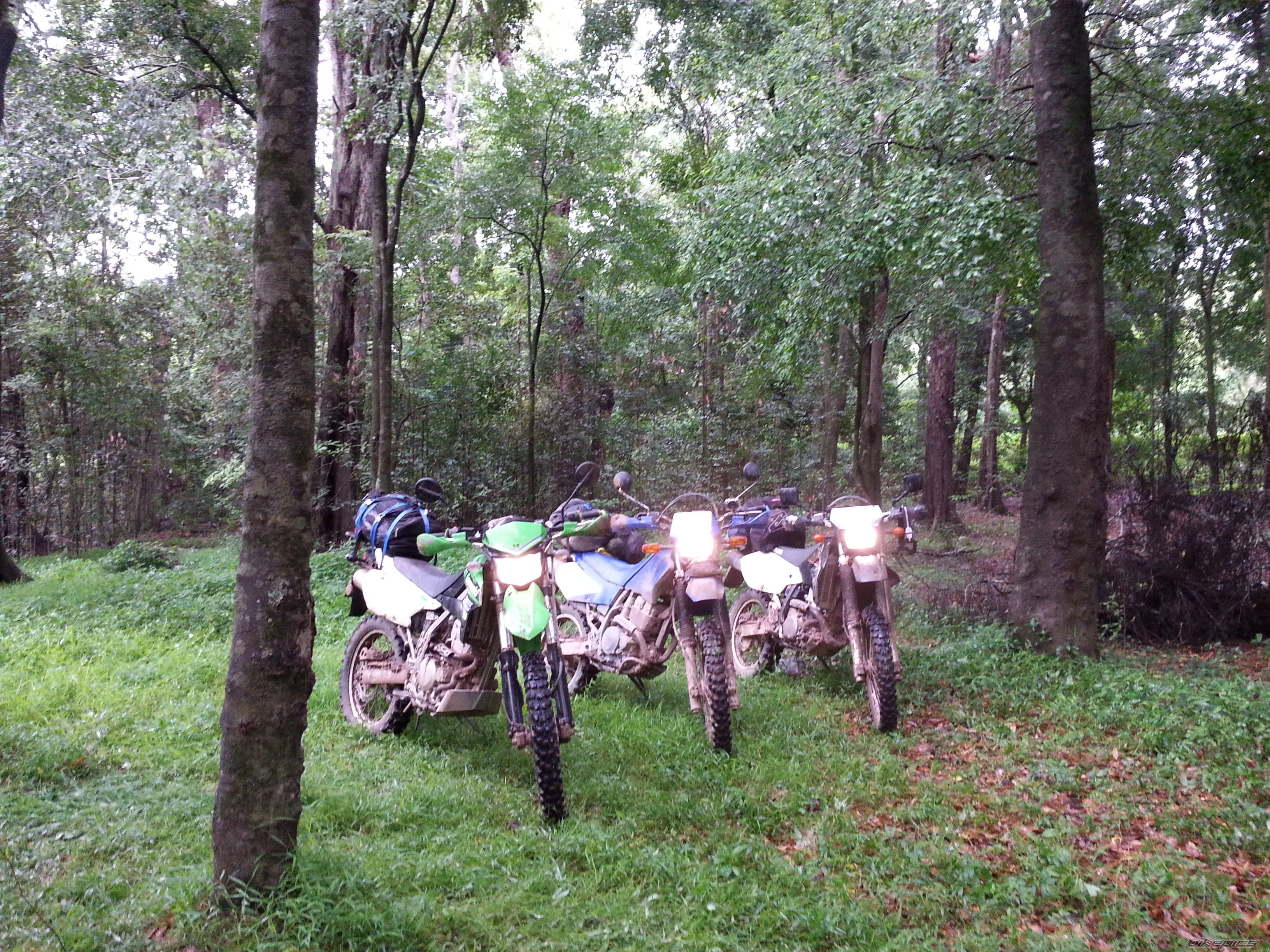 Photo 2725375