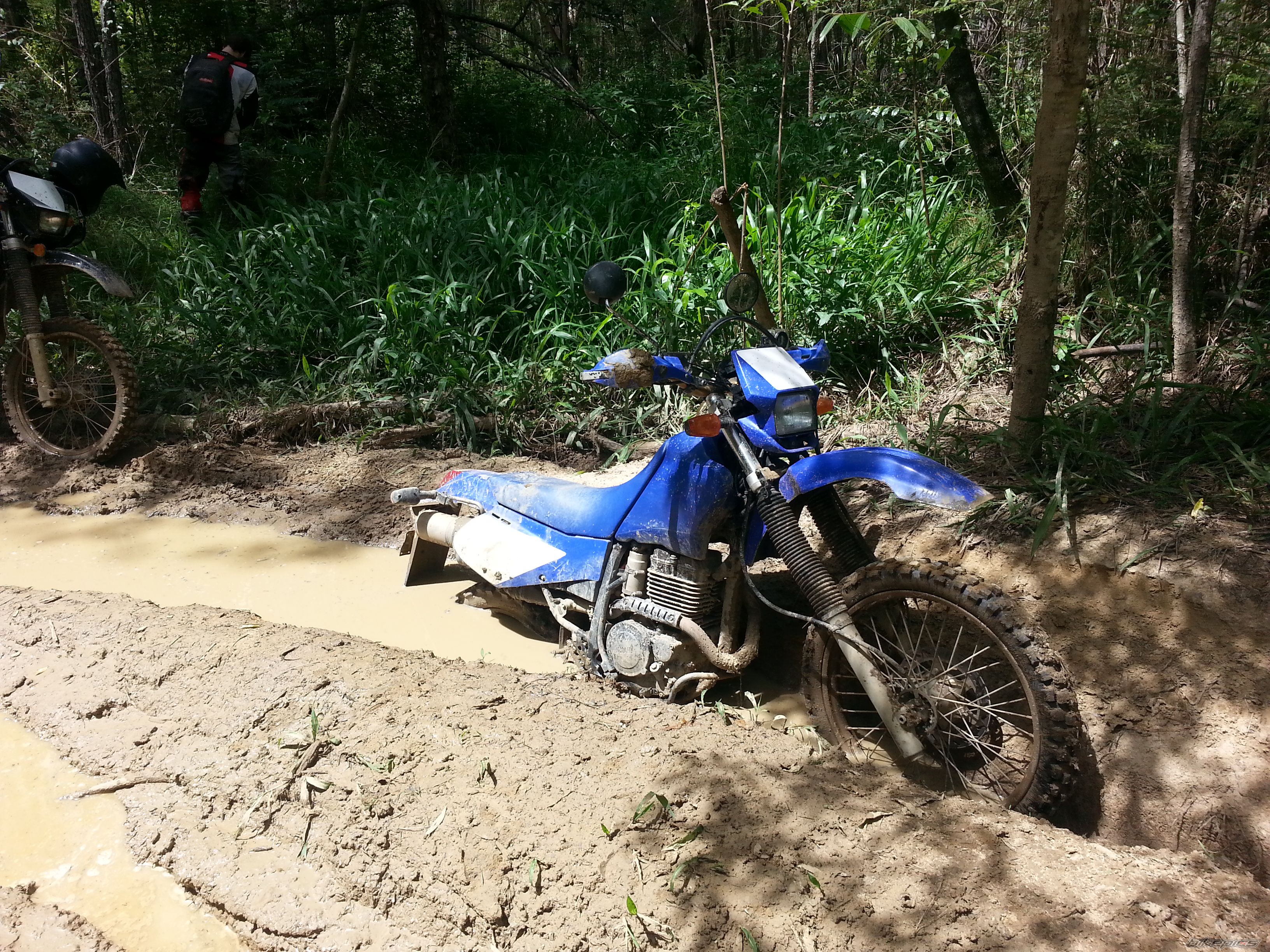Photo 2725376
