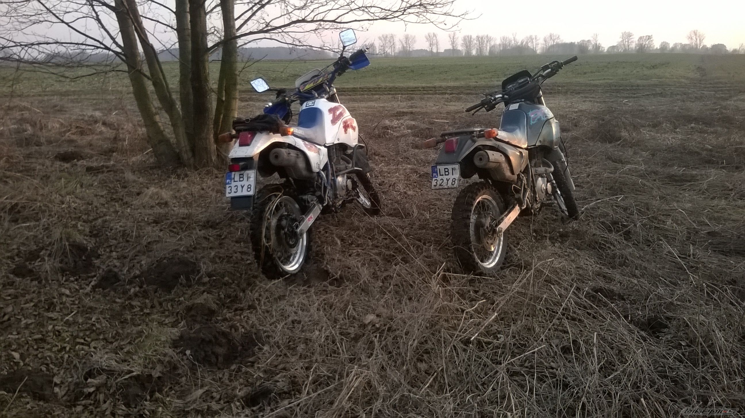 Photo 2725696
