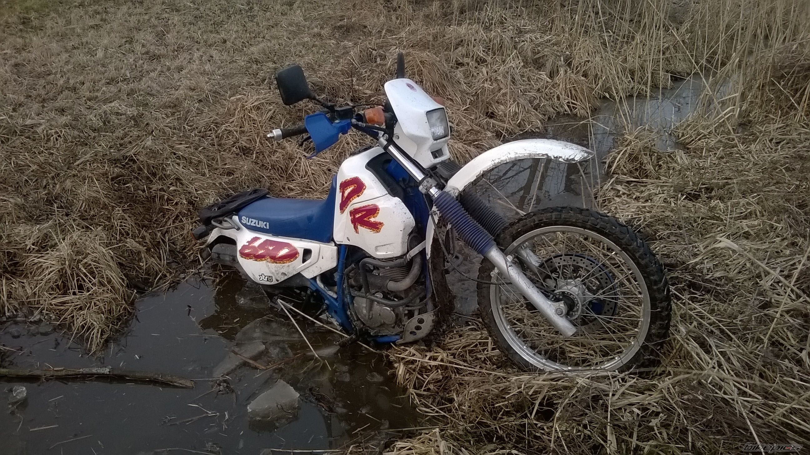 Photo 2725697