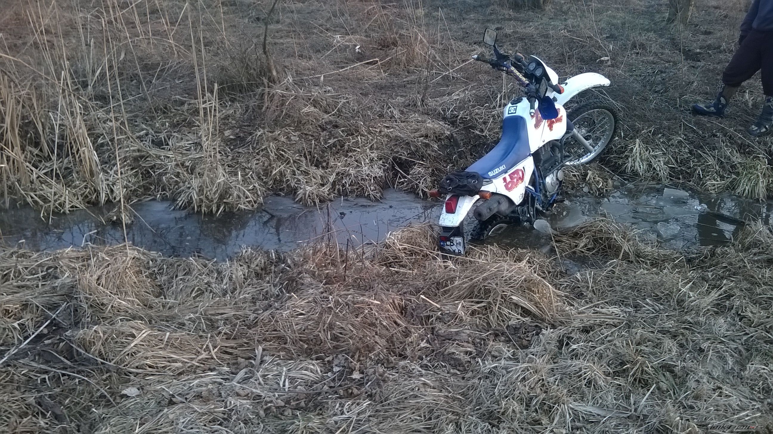 Photo 2725699