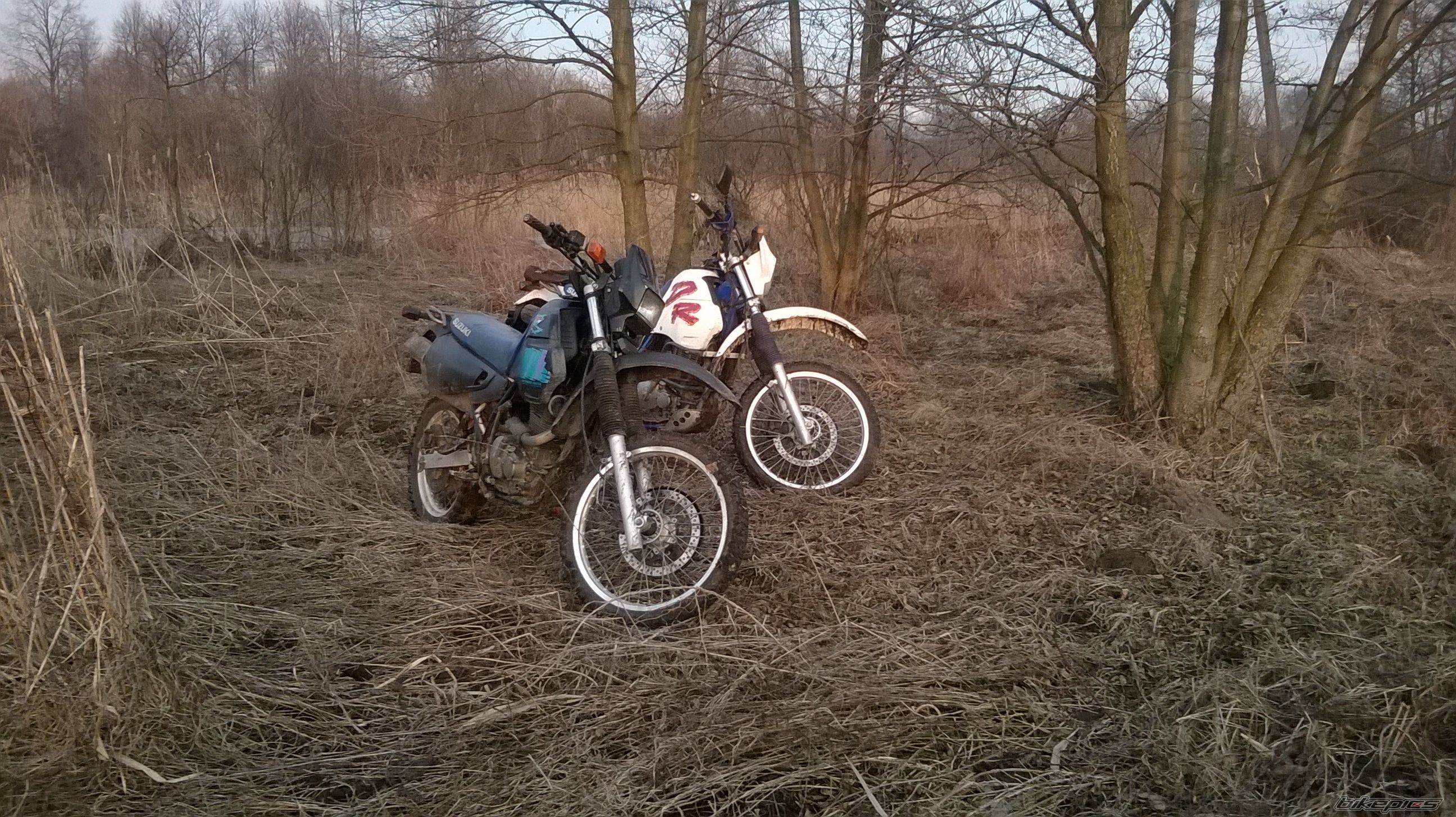 Photo 2725700