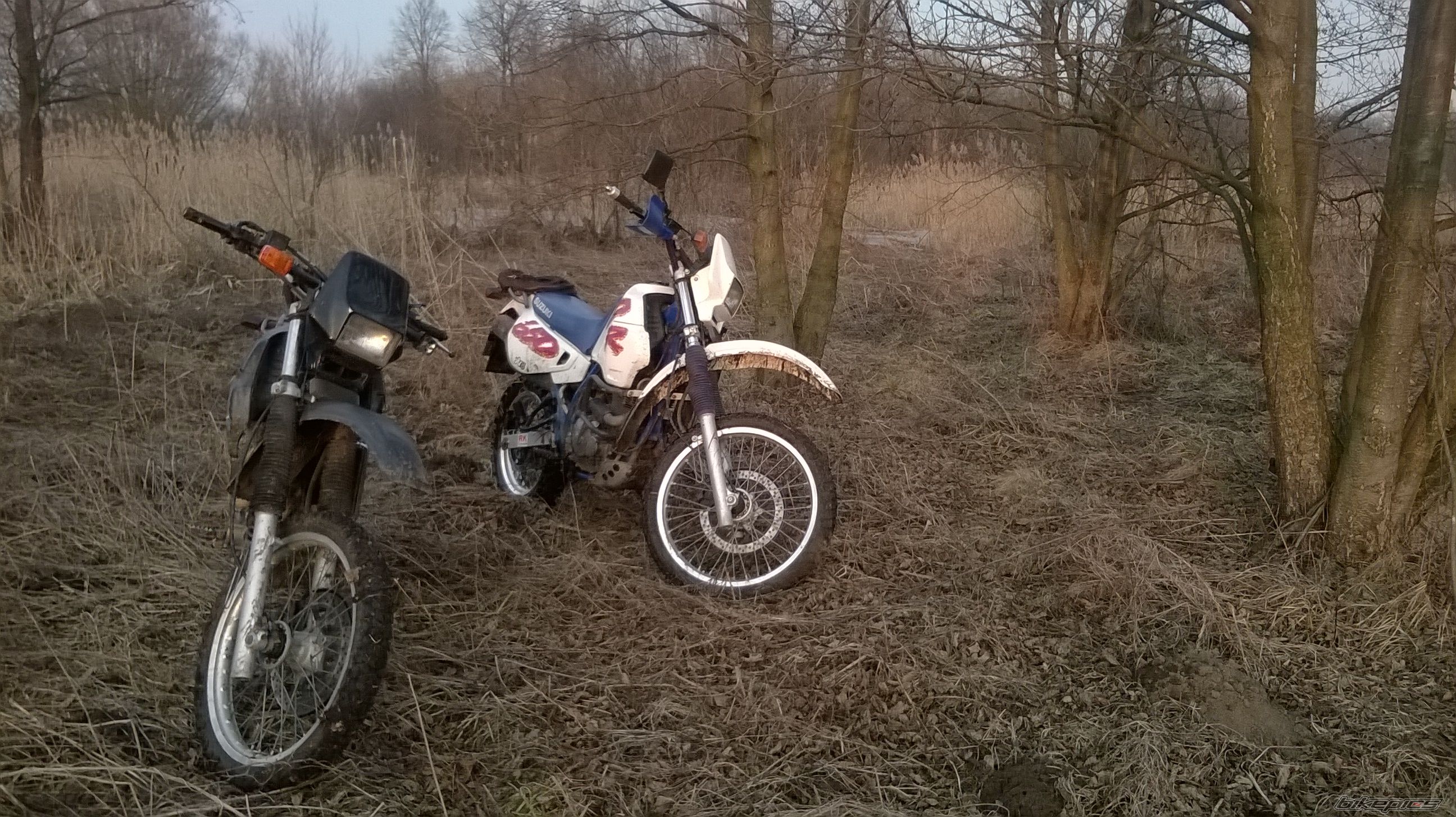Photo 2725701