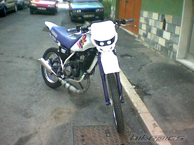 Photo 272619