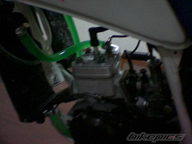 Photo 272623