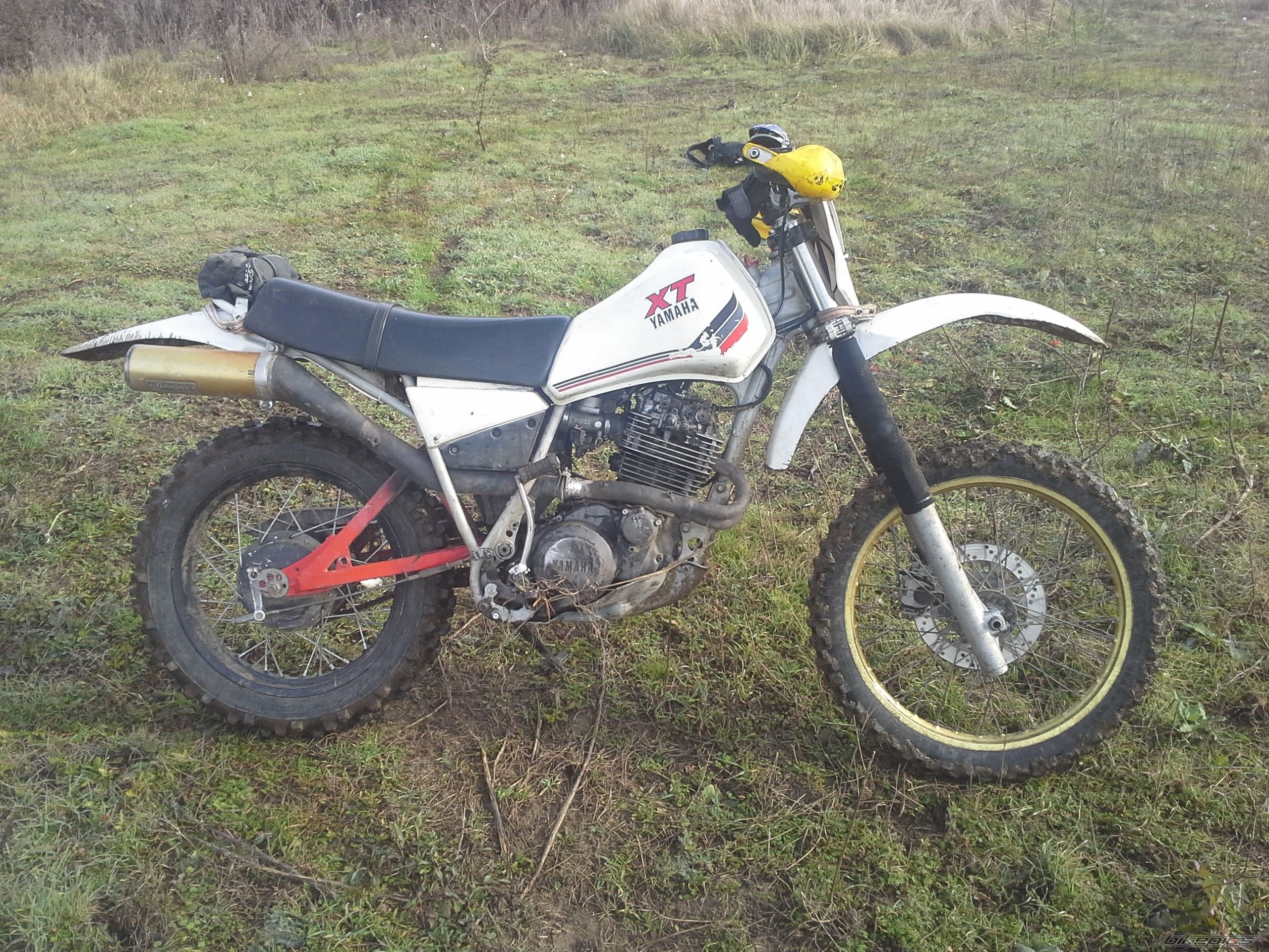 Photo 2726231