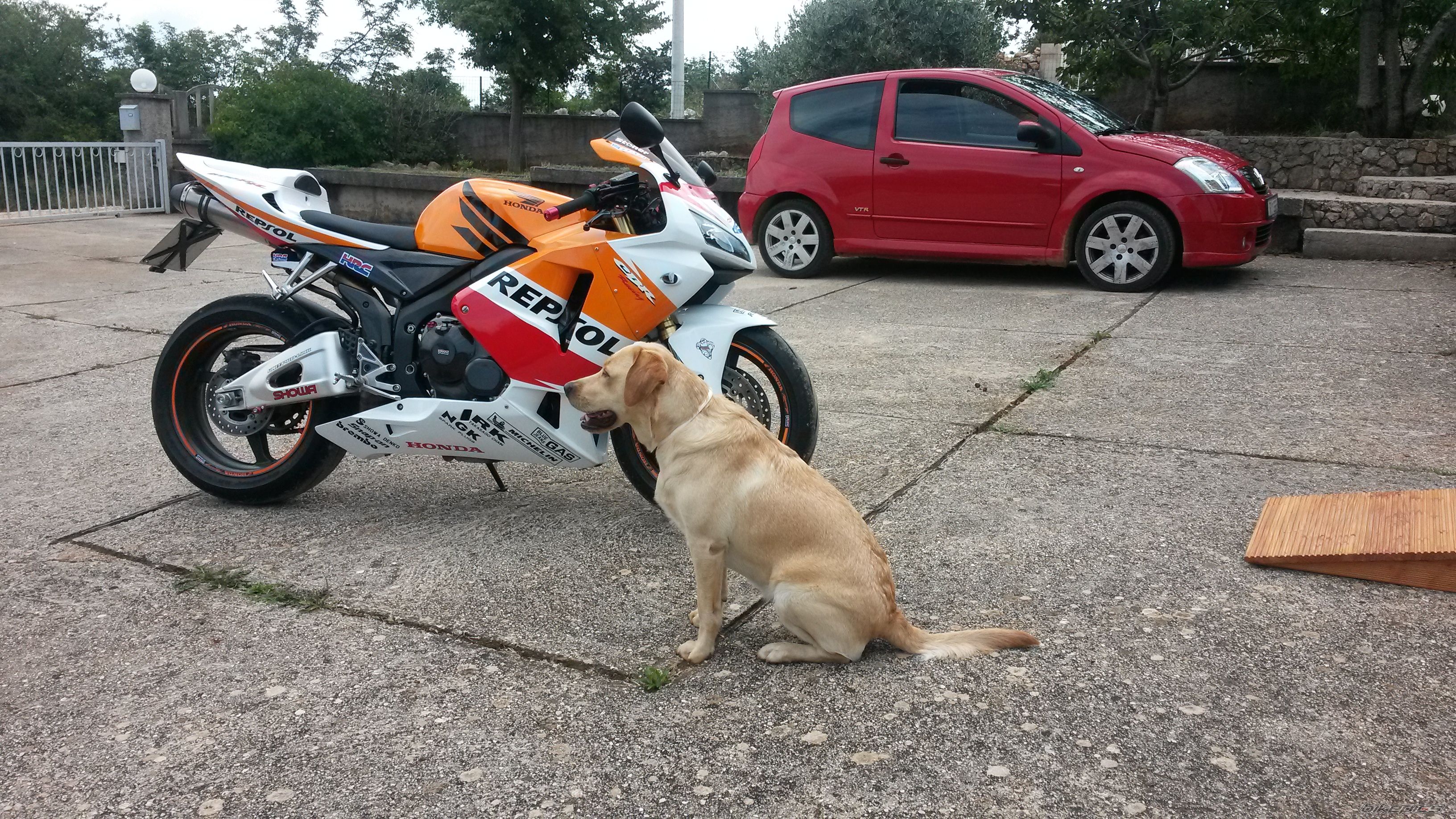 Photo 2726256