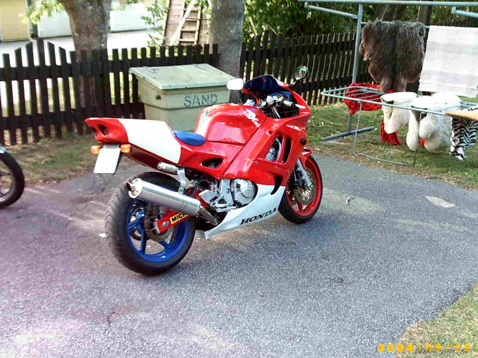 Photo 272632