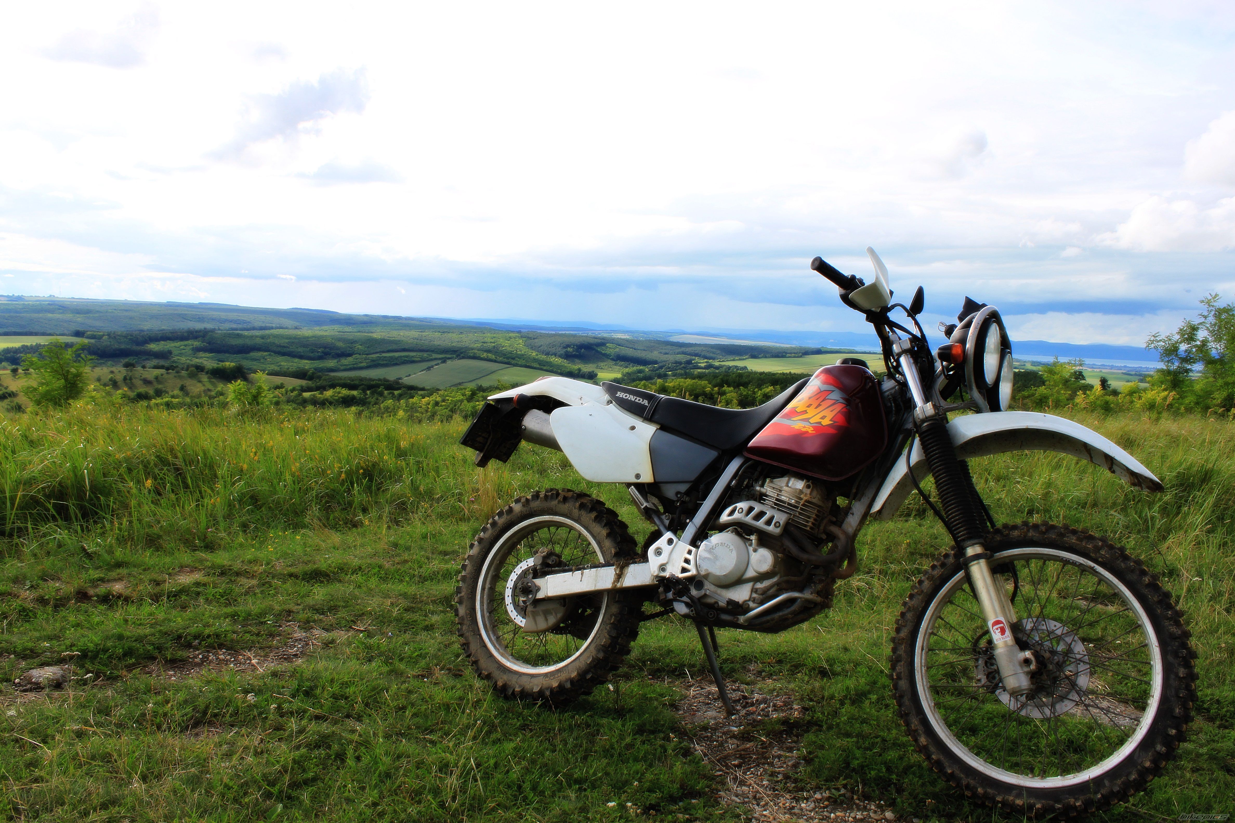 XR 250 BAJA