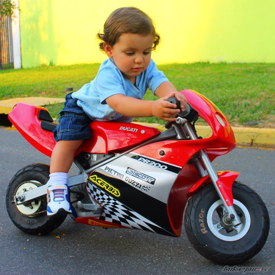 Photo 2726452