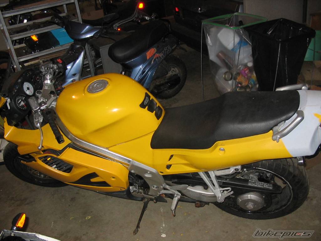 Photo 272652