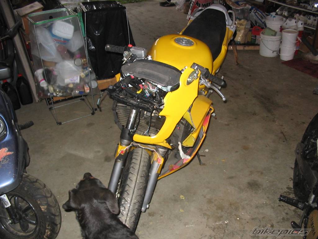 Photo 272653