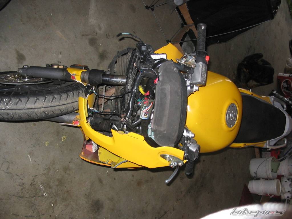 Photo 272655