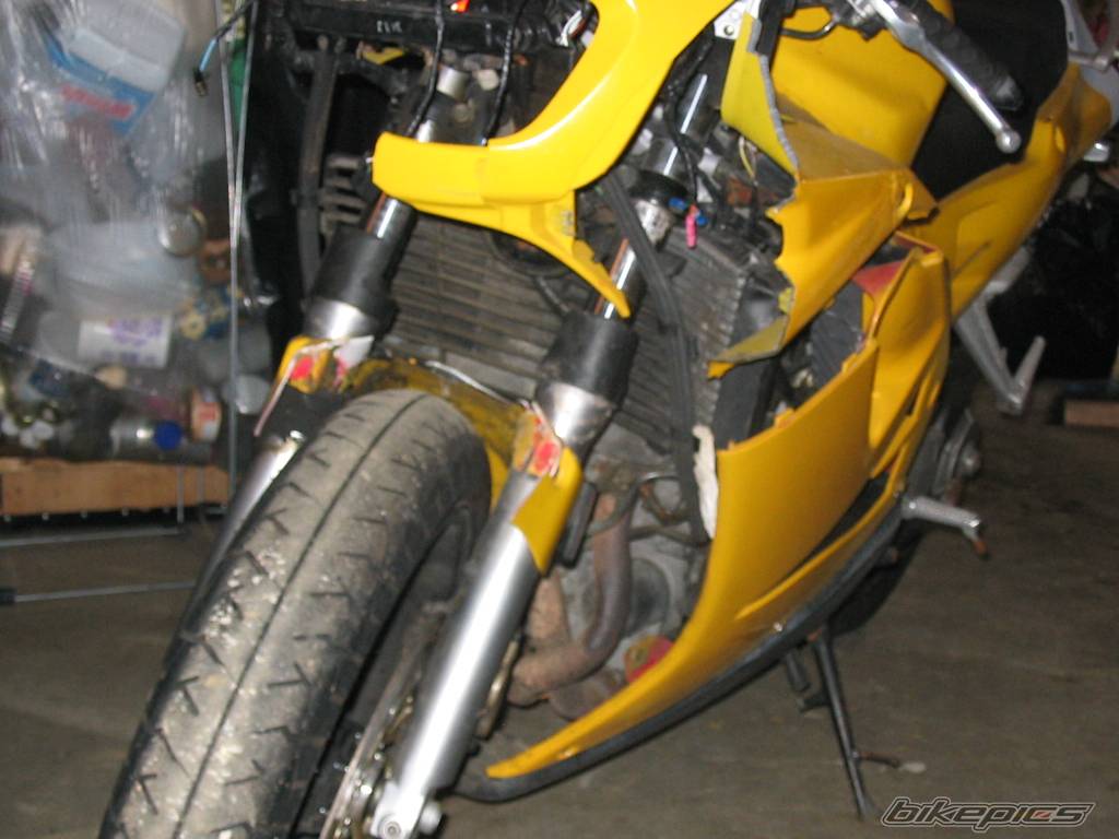 Photo 272656