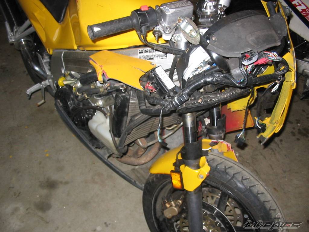 Photo 272657