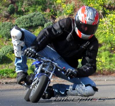 Photo 272660