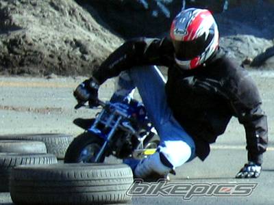 Photo 272663