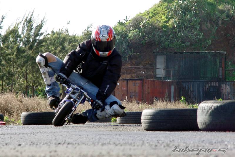 Photo 272672