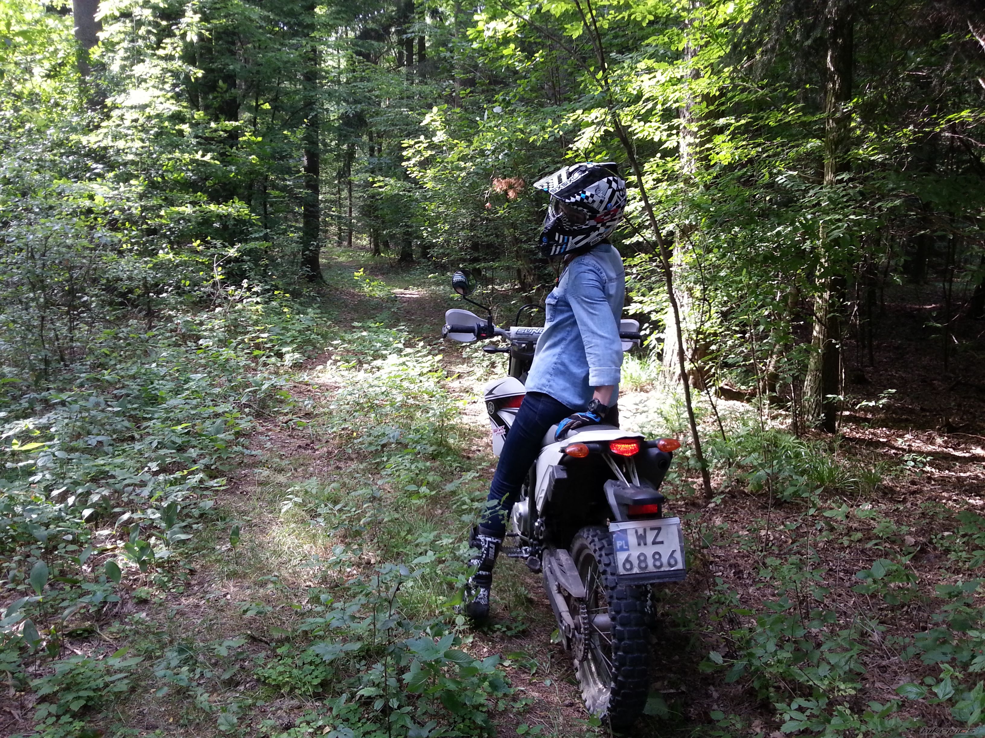 Photo 2726769