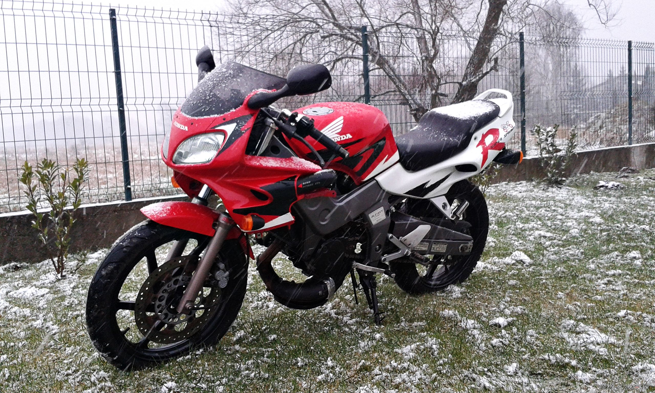 Photo 2726844