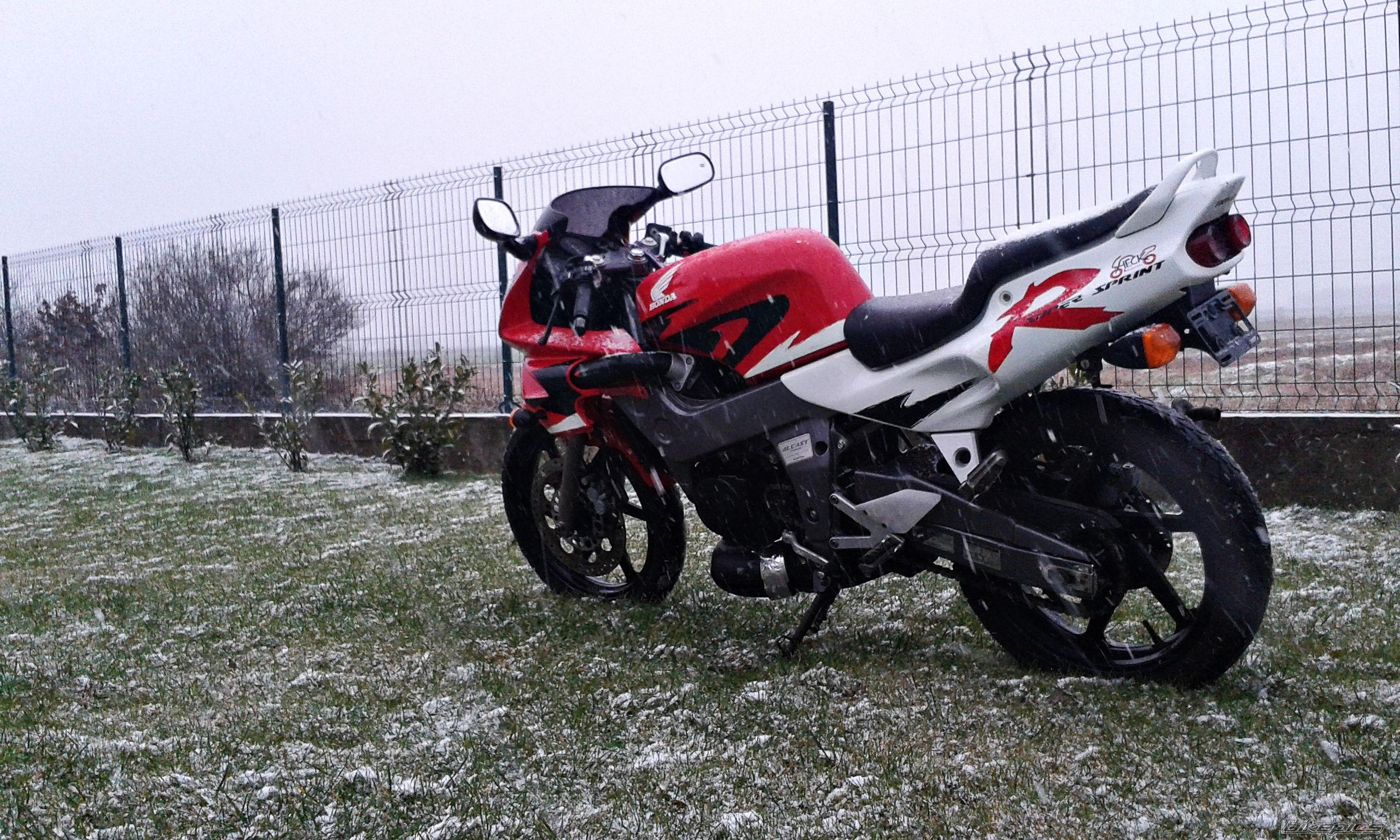 Photo 2726846