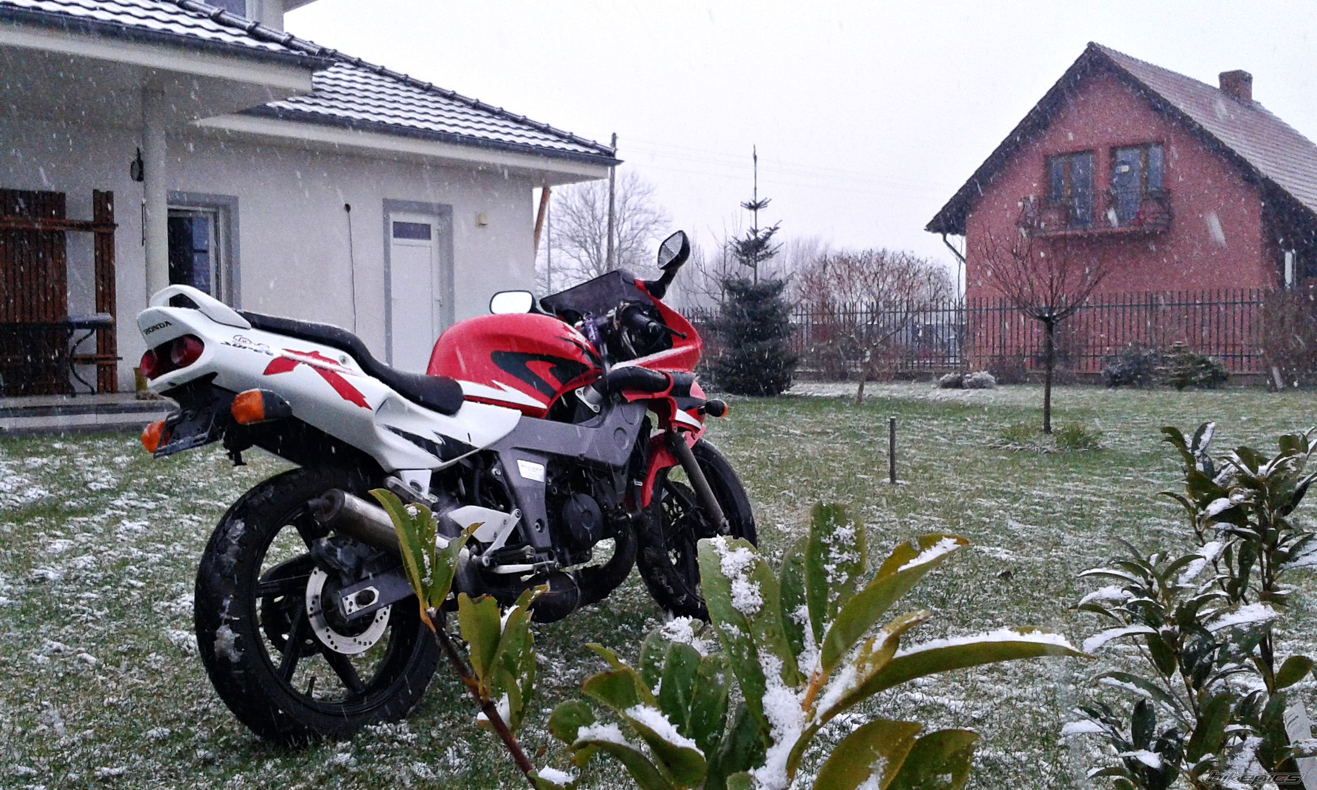 Photo 2726847