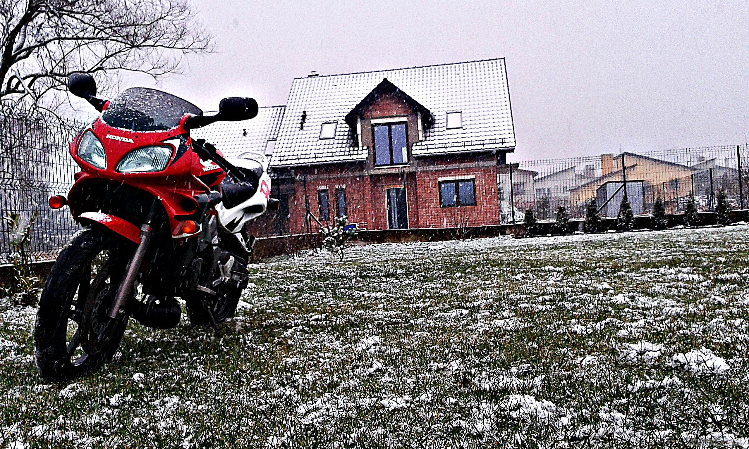 Photo 2726849
