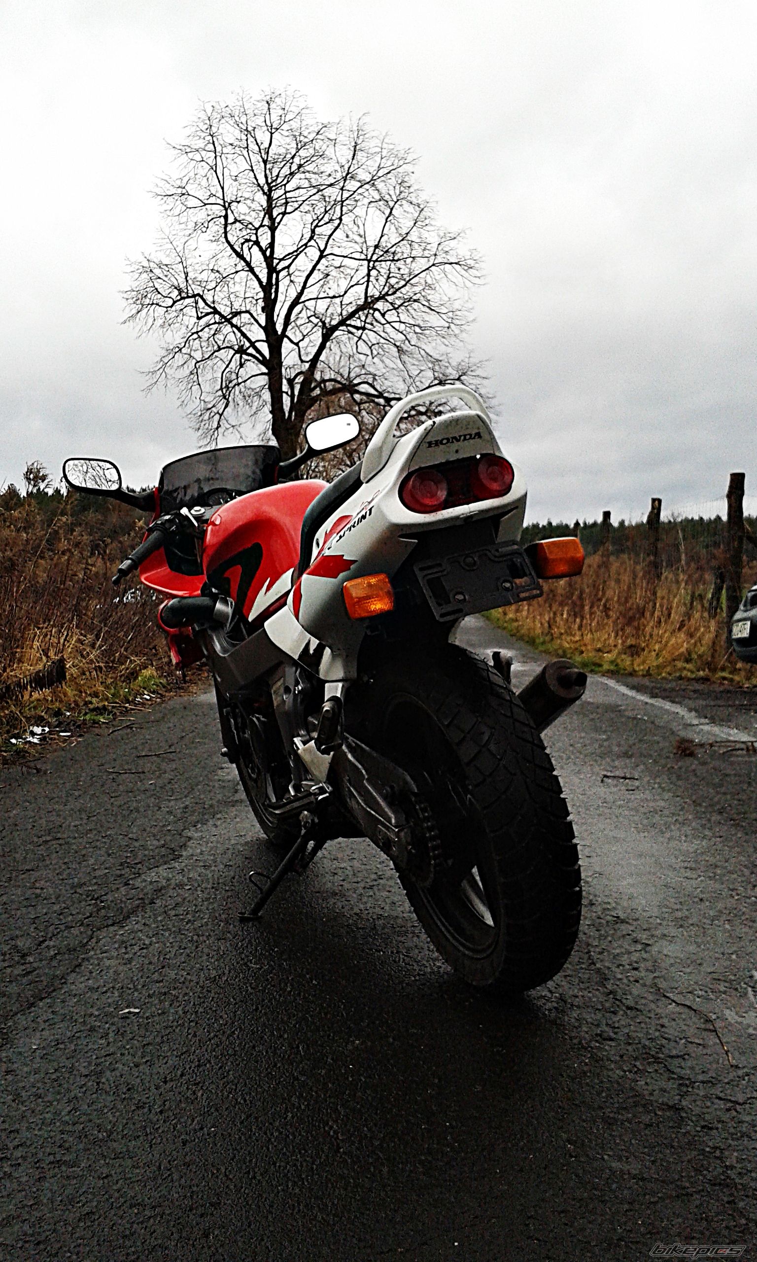 Photo 2726859