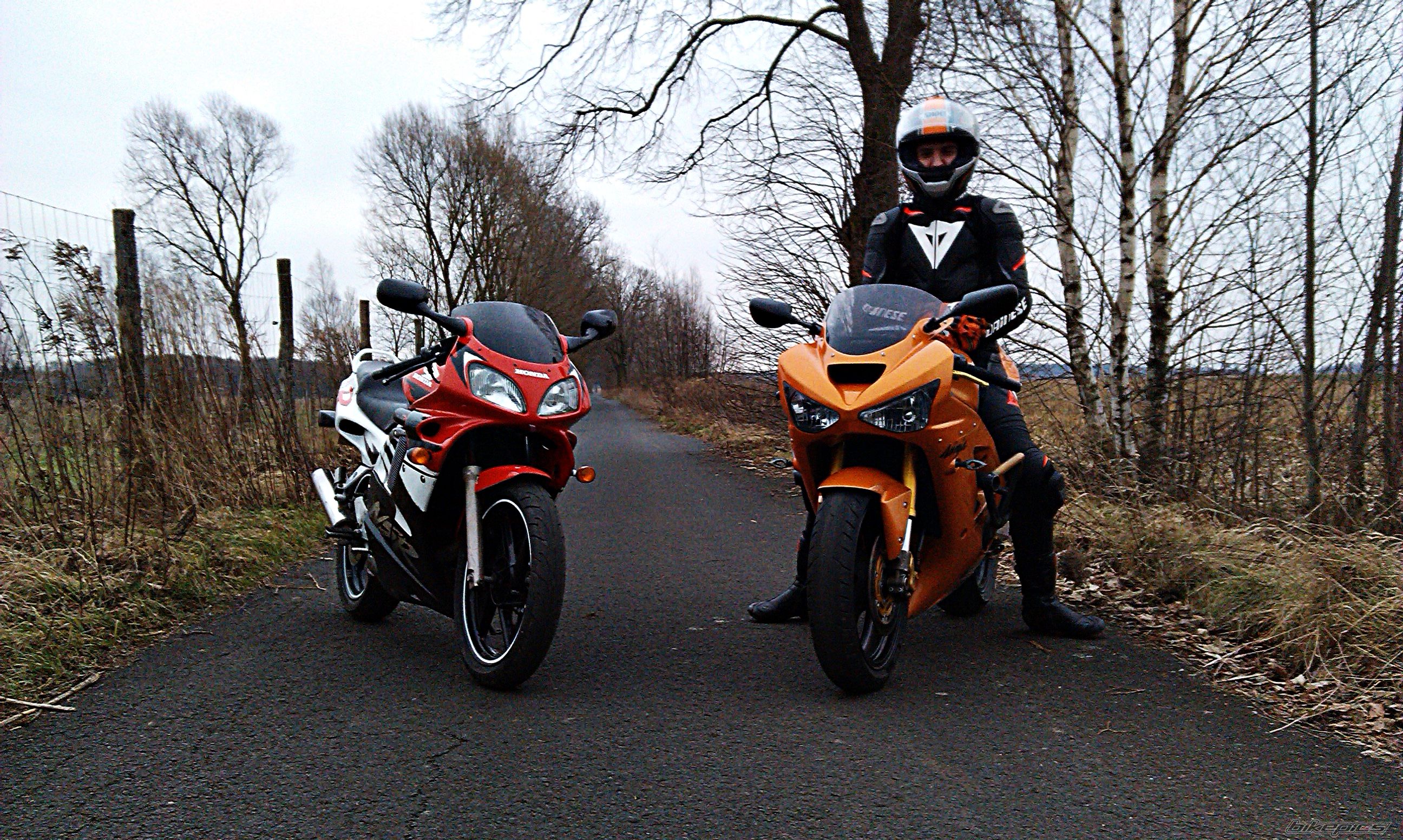 Photo 2726862