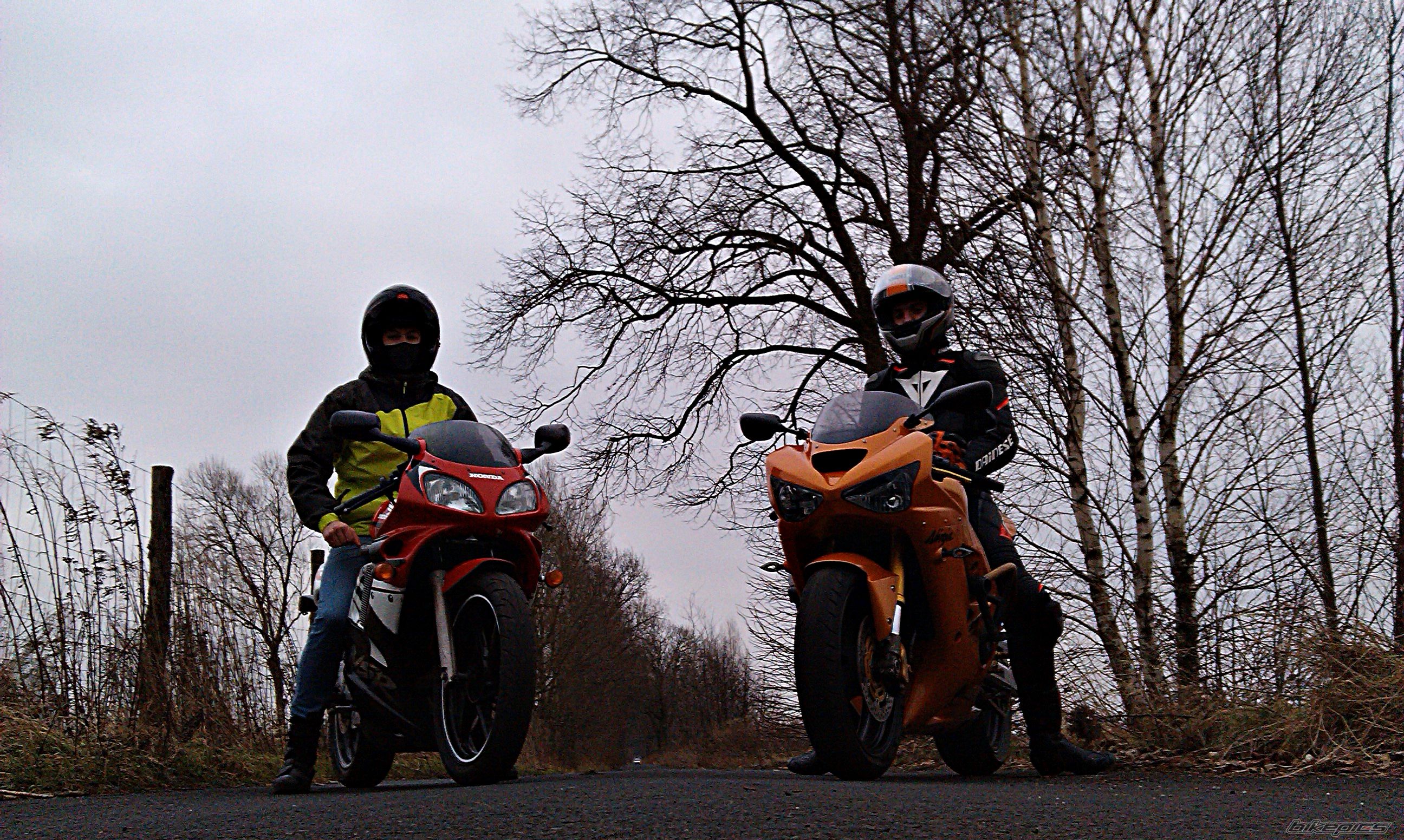 Photo 2726863