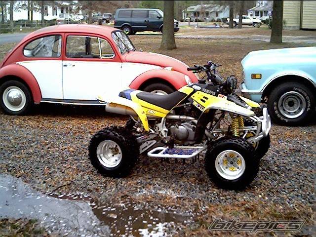 Photo 272687